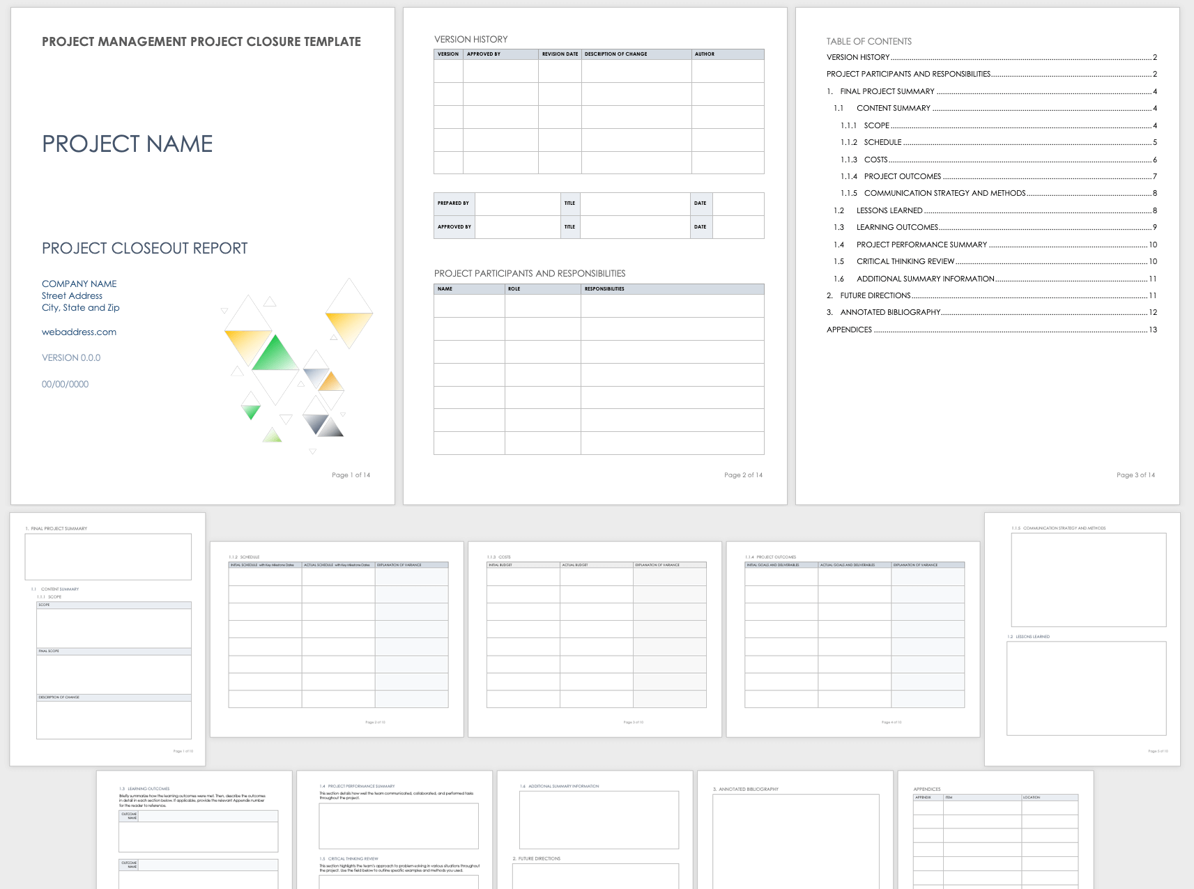 Project Management Project Closure Template