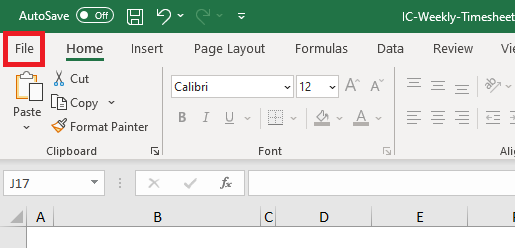 Timesheet File