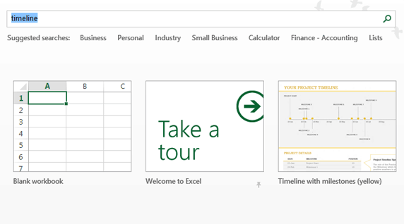 Excel timeline template 